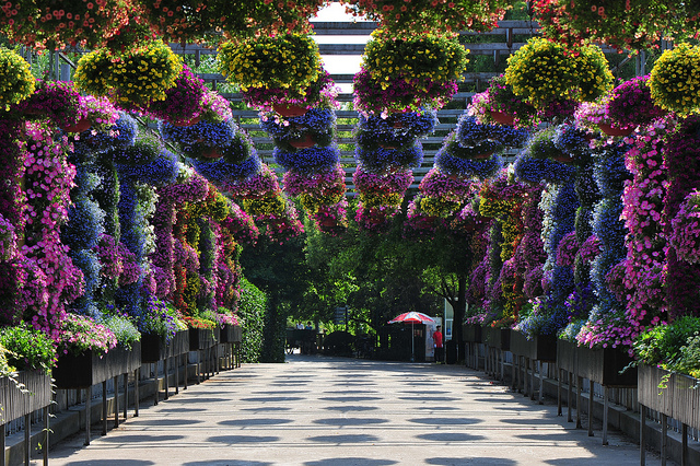 Farbenfroh: Der Botanische Garten Shanghai