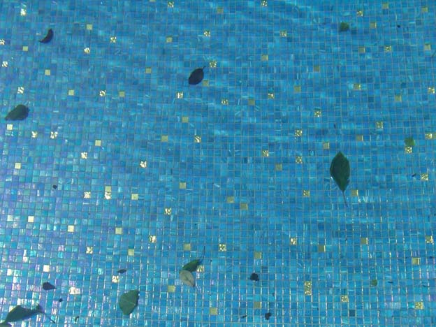 Swimming-Pool, Foto (C) Irmgard Brottrager