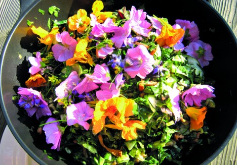 Salat mit Blüten und Pilzen, Foto (C) Bruno Weihsbrodt