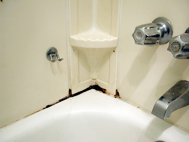 Durch beständige Feuchtigkeit gedeiht Schimmel im Badezimmer oft besonders gut