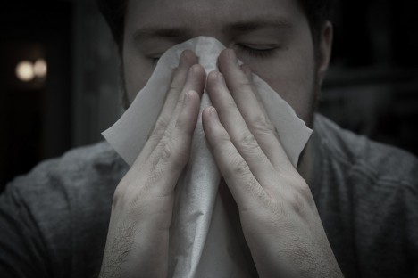 Der Kot von Hausstaubmilben ist einer der häufigsten Auslöser für allergischen Schnupfen