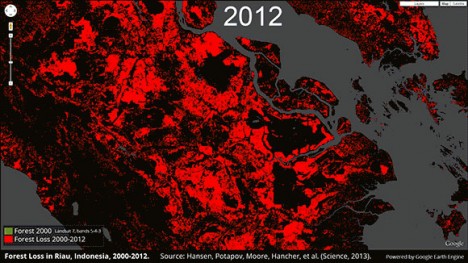 Rot dargestellt: Der Waldverlust zwischen 2000 und 2012 in Teilen Indonesiens