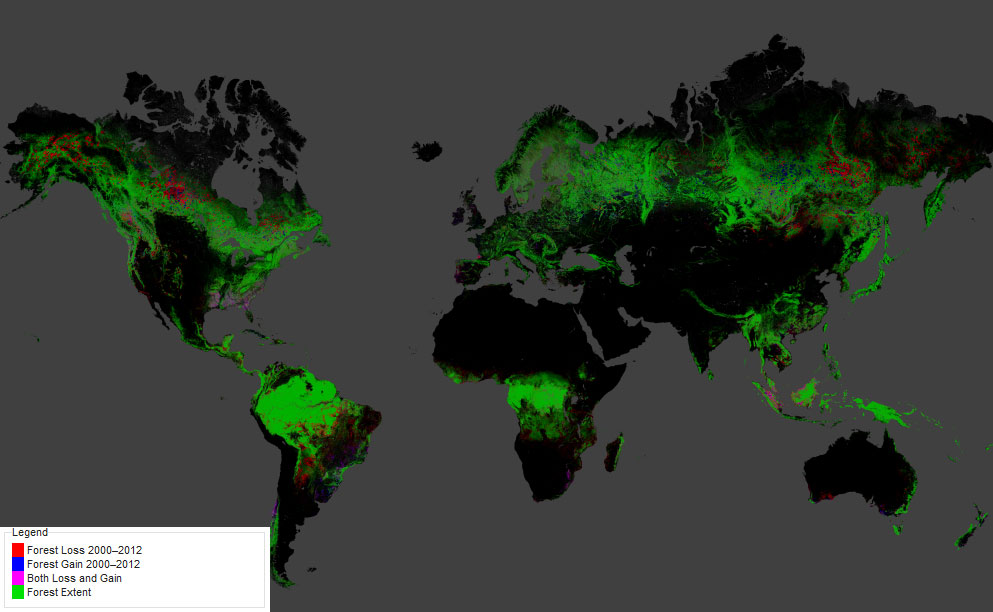 Entwicklung des weltweiten Waldbestands von 2000 bis 2012