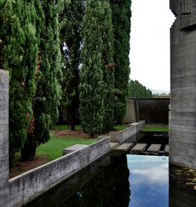 Die Säulen-Zypresse - Wesen und Bedeutung