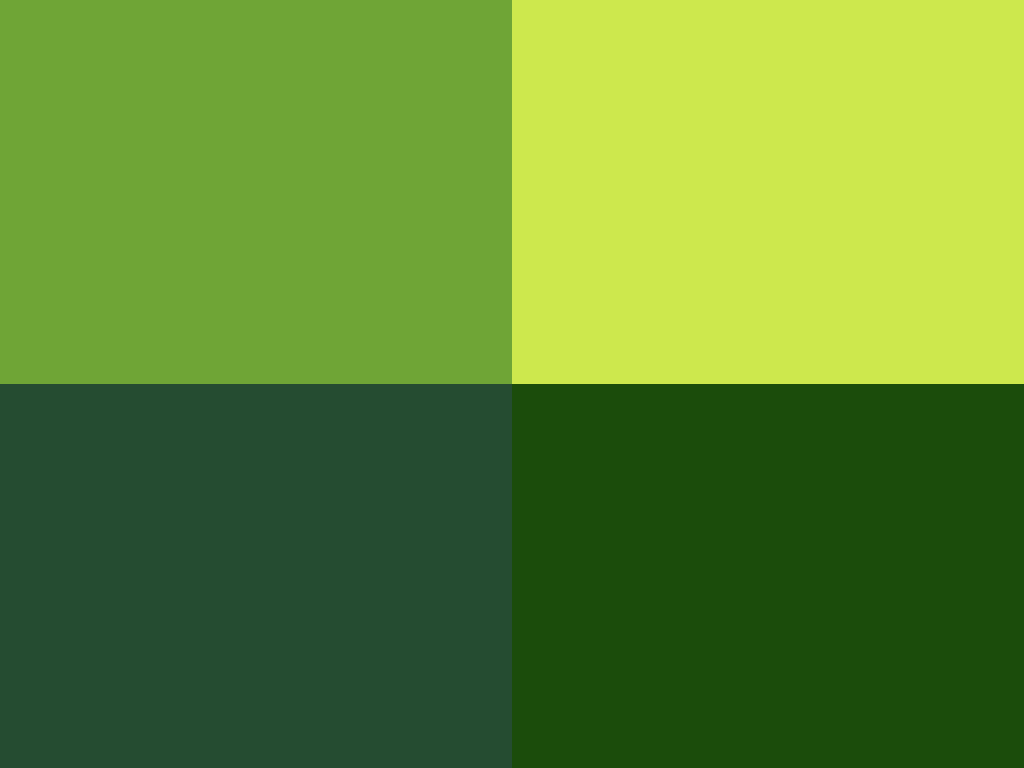 Farbe Grün / Greenery