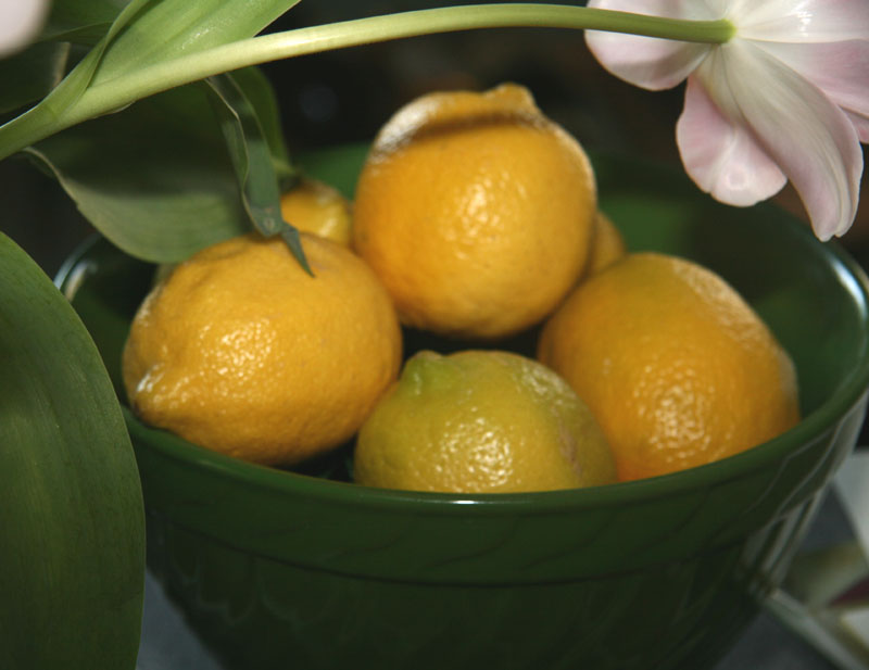 Auch Zitronen wirken stoffwechselfördernd. Foto (C) LollyKnit / flickr