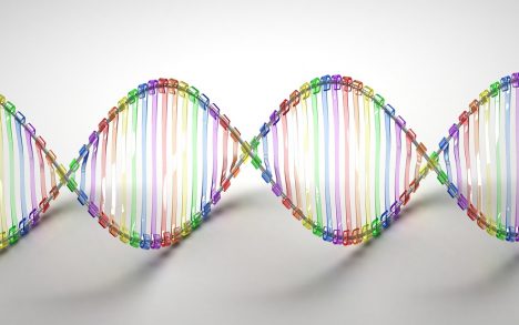 DNA-Struktur, Foto (C) Caroline Davis2010 / flickr