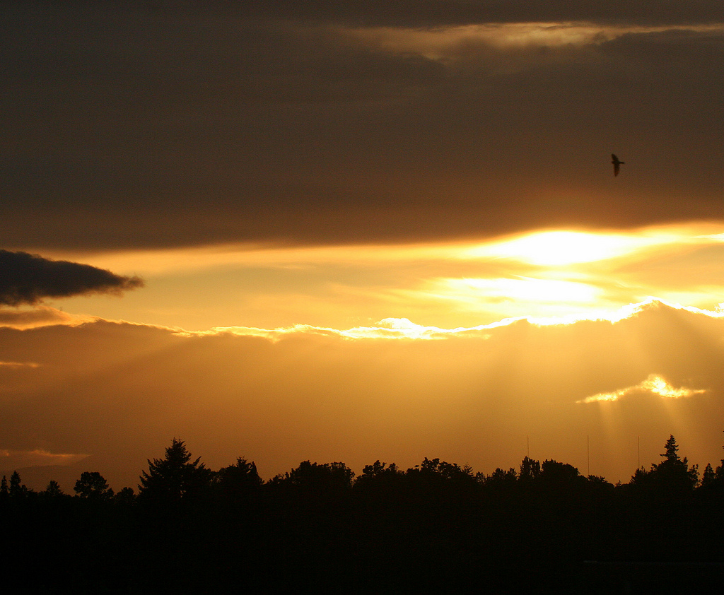 Sonnenuntergang, Foto (C) Bruce Fingerhood / flickr