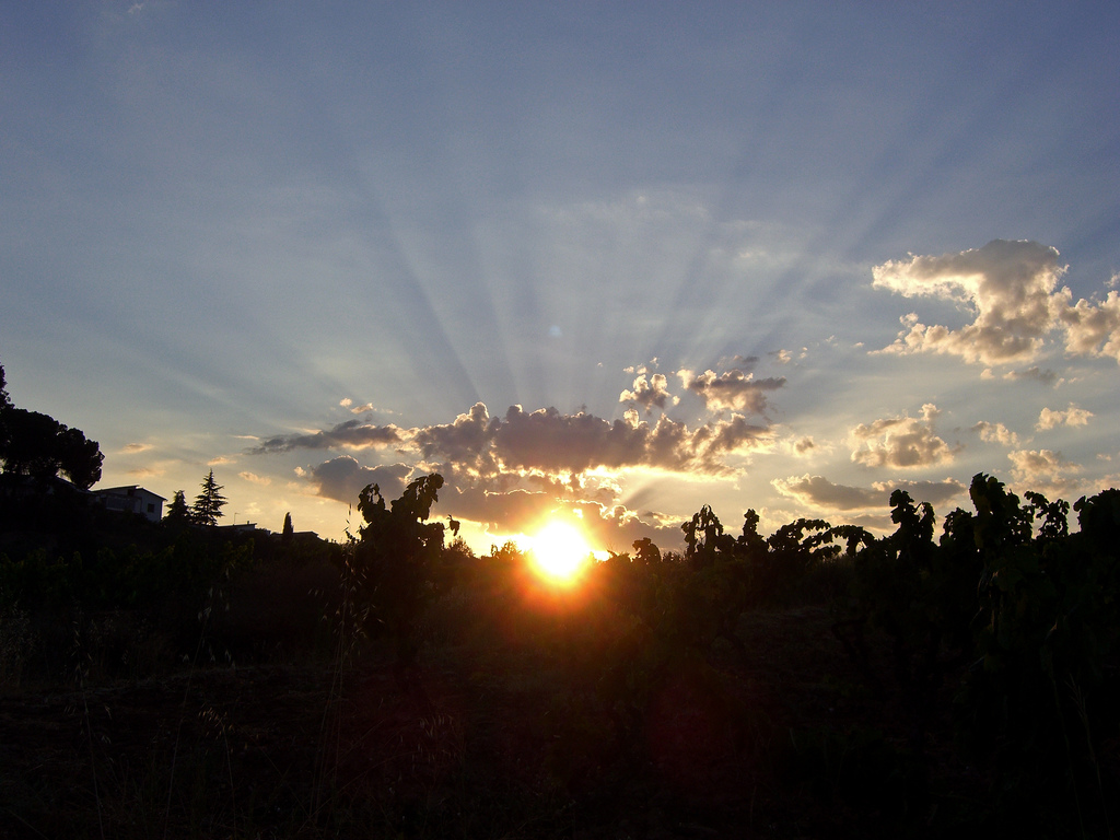 Sonnenaufgang, Foto (C) Josep Ma. Rosell / flickr CC BY 2.0