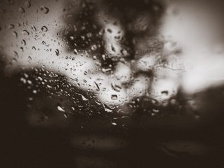 Regentropfen oder Gespenst?Foto (C) Matthias Ripp / flickr CC BY 2.0