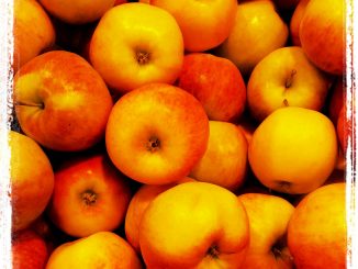 Diese Lagerung ist nicht günstig, weil die Äpfel hier übereinander liegen. Foto (C) Karolina van Schrojenstein Lantman - Orlinska / flickr CC BY 2.0