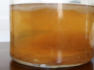 Selbst hergestellter Wassermelonen-Kombucha, Foto (C) thedabblist / flickr CC BY 2.0