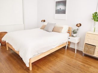 Pflanzen im Schlafzimmer: Welche Gewächse sind in Schlafräumen besonders geeignet?