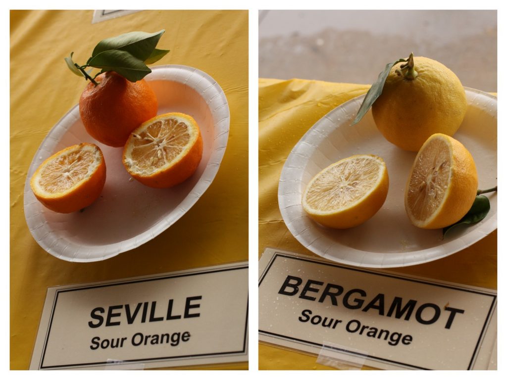 Bergamotten sind Zitrusfrüchte. Foto (C) Leslie Seaton / flickr CC BY 2.0