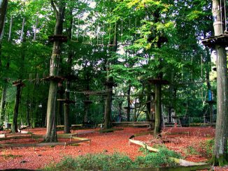 Klettergärten sind eine Mischung aus Wald, Fitnessparkour und Park-Anlage. Foto (C) Hiltrud Möller-Eberth / flickr CC BY 2.0