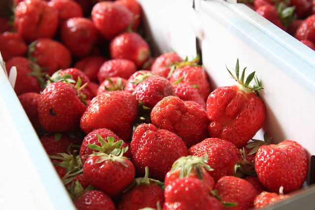 Erdbeeren erreichen Spitzenwerte beim Pestizid-Gehalt, wenn sie nicht aus Bioanbau stammen. Foto: Maja Dumat / flickr CC BY 2.0