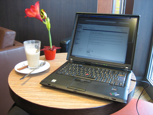 Eine chemieverseuchte Miniblume und ein Cafe Latte reichen mit Sicherheit nicht aus, um einen WLAN-Empfangsraum zu harmonisieren. Foto: Rene Schwietzke /  flickr CC BY 2.0