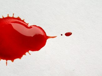 Rot wie Blut. Foto: Mate Marschalko / flickr CC BY 2.0