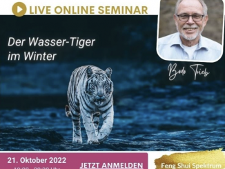 2022 - der Wasser-Tiger im Winter - ein Zoomcall